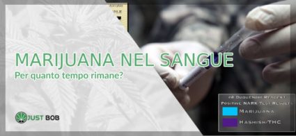 marijuana nel sangue