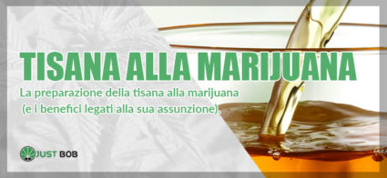 tisana alla marijuana