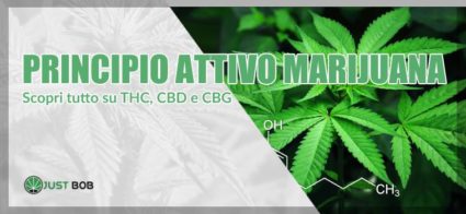 prinicipio attivo marijuana