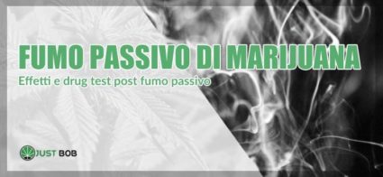 Il fumo passivo della marijuana ne trasporta davvero gli effetti?