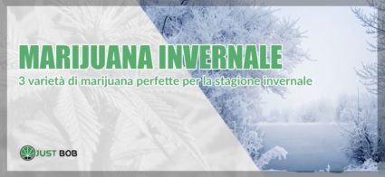 documentari sulla marijuana