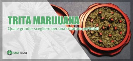 trita marijuana