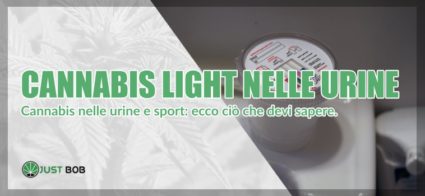 cannabis light nelle urine