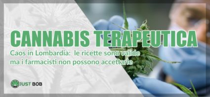 Il Blog Di Justbob Info E Curiosita Sulla Marijuana Part 9