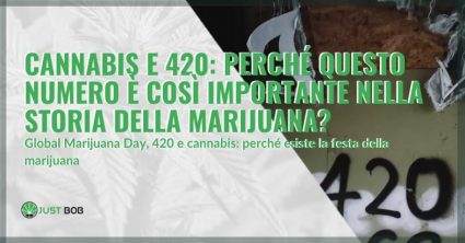 420 cannabis day