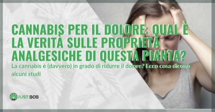 cannabis per il dolore (proprietà analegesiche)