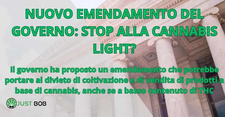NUOVO EMENDAMENTO DEL GOVERNO: STOP ALLA CANNABIS LIGHT?