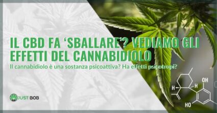 Il CBD fa sballare? Vediamo insieme gli effetti del cannabidiolo | Justbob