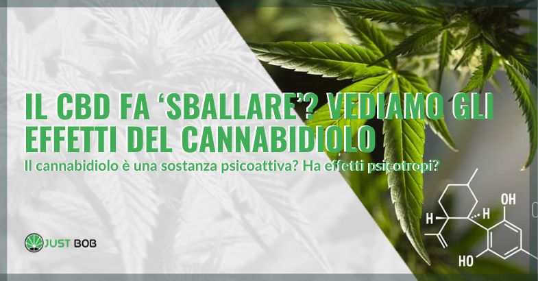 Il CBD fa sballare? Vediamo insieme gli effetti del cannabidiolo | Justbob