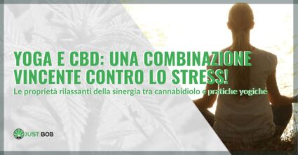 Yoga e CBD: una combinazione vincente contro lo stress! | Justbob