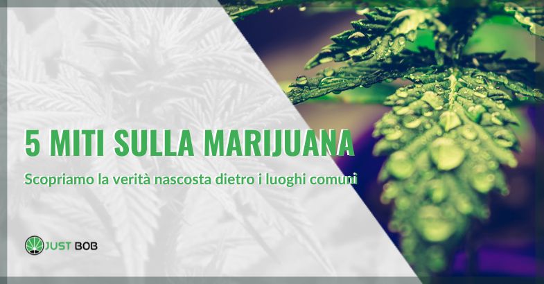 5 miti sulla marijuana | just bob