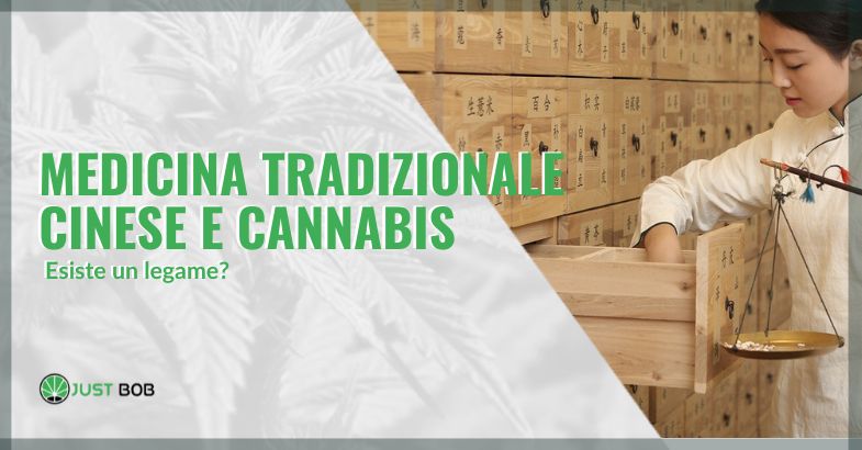 Medicina tradizionale cinese e cannabis: esiste un legame? | just bob