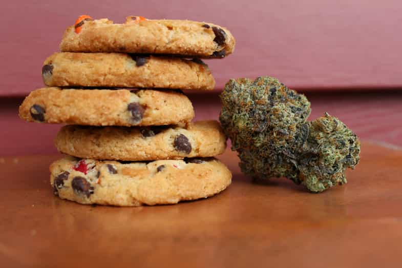 biscotti e cannabis | just bob