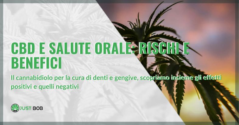 CBD e salute orale: rischi e benefici | Justbob