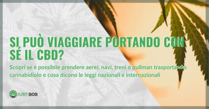 Si può viaggiare portando con sé il CBD? | Justbob