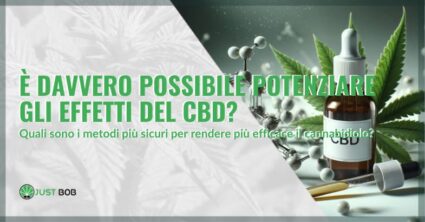 È davvero possibile potenziare gli effetti del CBD? | Justbob