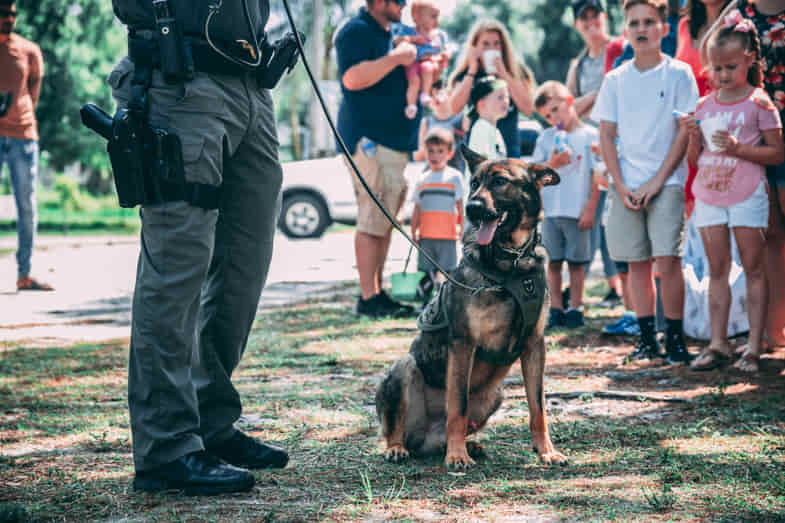 Un cane poliziotto in un parco affollato per dei controlli di routine | Justbob