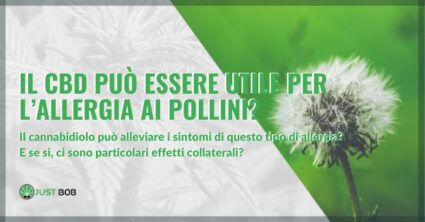 Il CBD può essere utile per l’allergia ai pollini? Scopriamolo insieme |Justbob