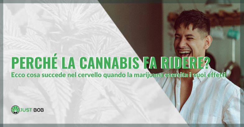 Perché la cannabis fa ridere