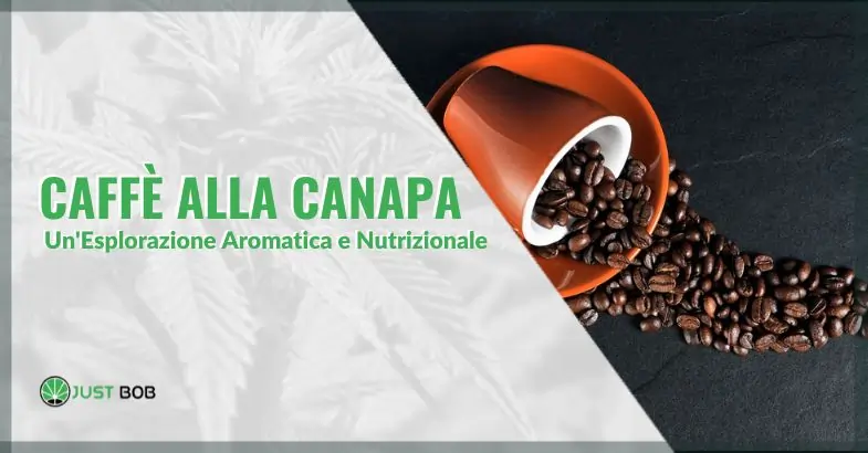 Caffè alla Canapa: Un'Esplorazione Aromatica e Nutrizionale | Justbob