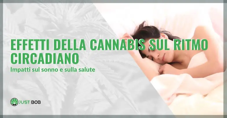 Effetti della cannabis sul ritmo circadiano: impatti sul sonno e sulla salute | Justbob