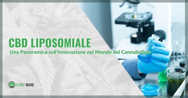 CBD Liposomiale: Una Panoramica sull'Innovazione nel Mondo del Cannabidiolo | Justbob