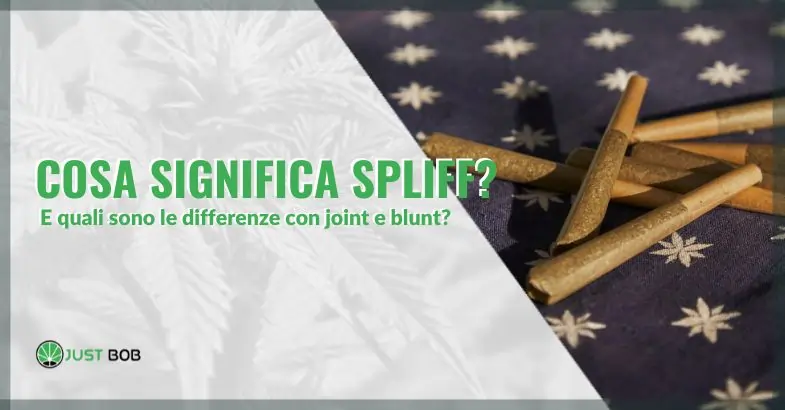 Cosa significa spliff e quali sono le differenze con joint e blunt? | Justbob