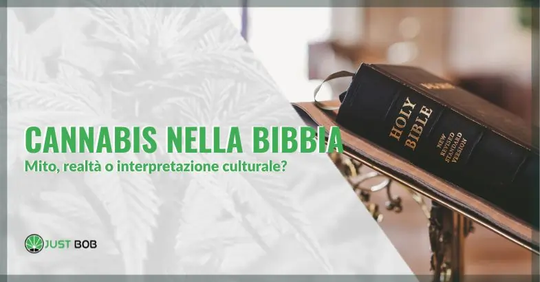 Cannabis nella Bibbia: mito, realtà o interpretazione culturale? | Justbob